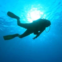 Tauchen La Reunion Indischer Ozean